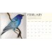 All aflutter 2013 / 2014 Bird Calendar 